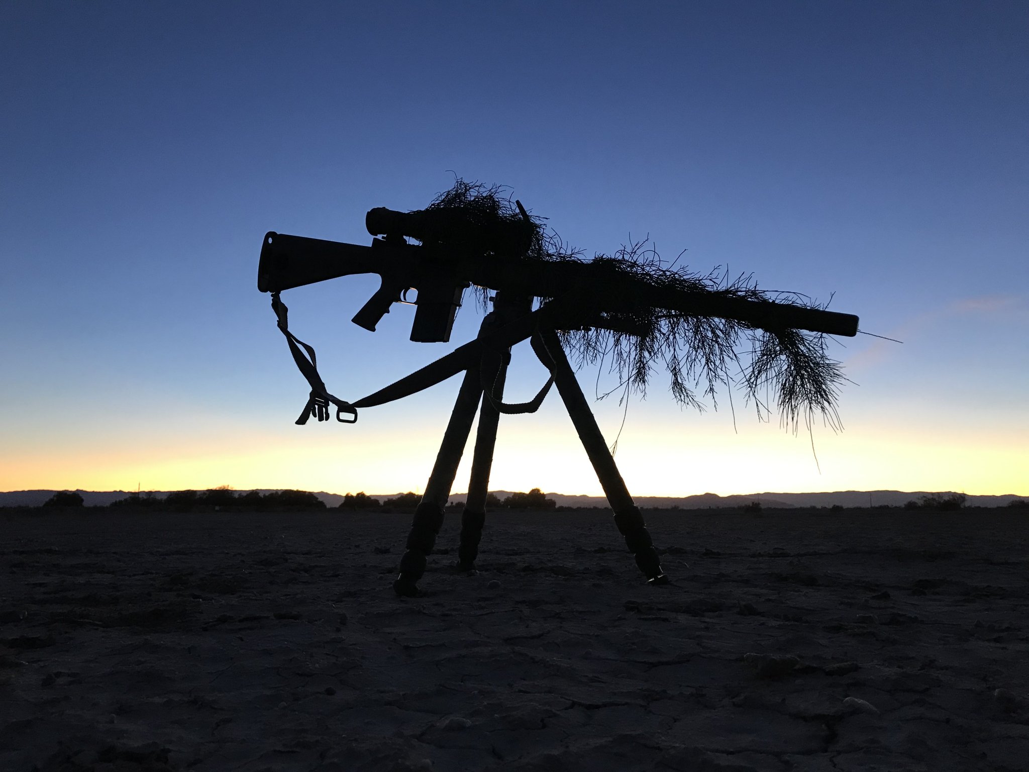 1B469106-9B2D-47A1-850C-43445A6BA481.jpeg