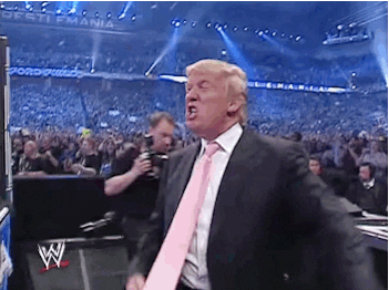 1B64095A-C9B5-4286-86AE-4AE1C03F4597.gif