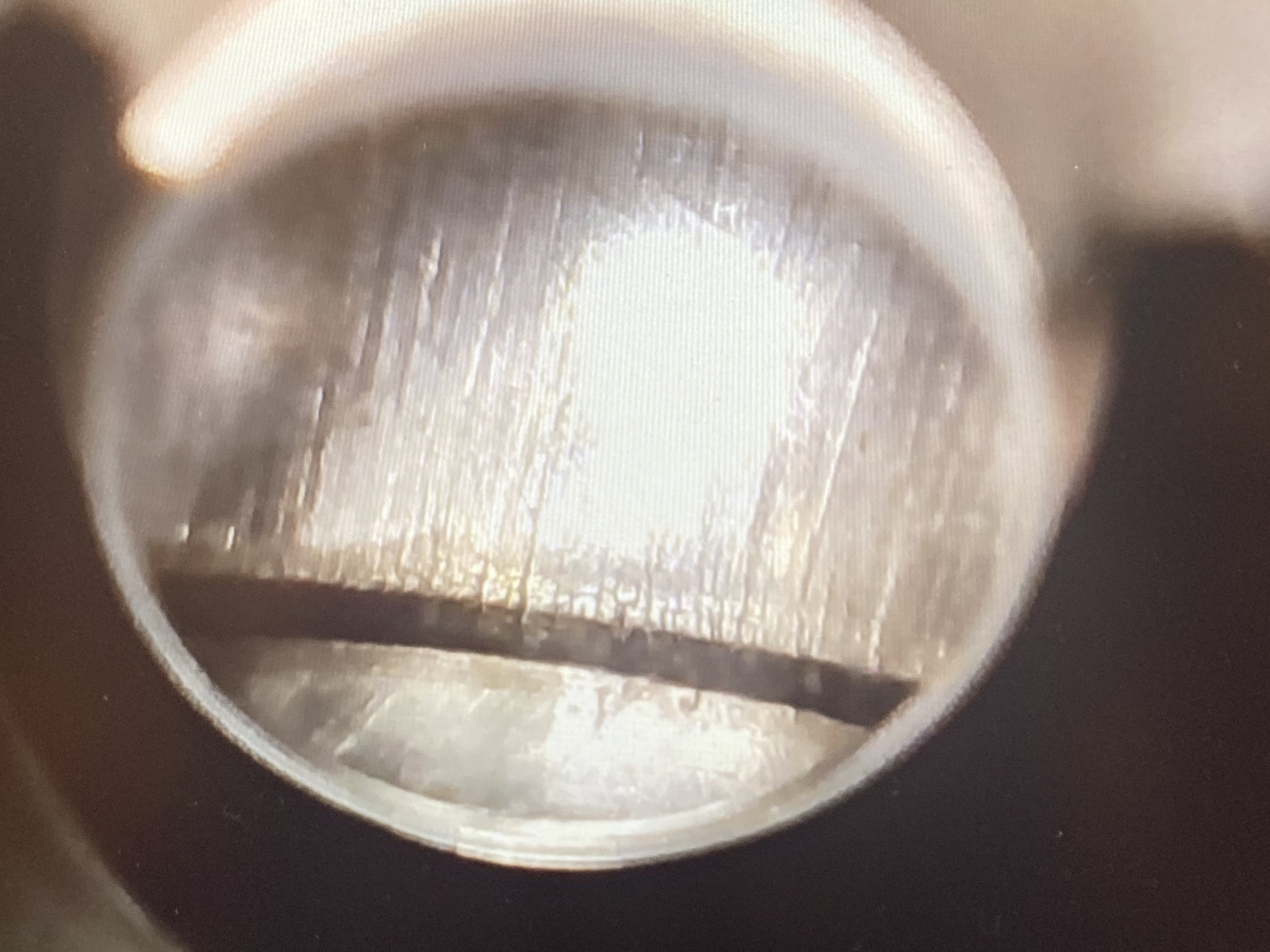 1BAB3DAF-095F-4062-9567-A032E3509653.jpeg