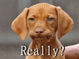 1C742A75-7A6A-4131-8AF5-103D1543C543.gif