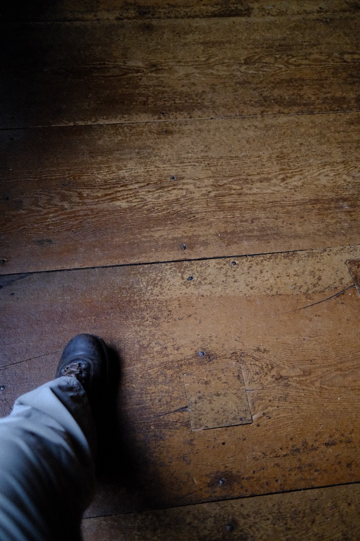 1D2ED756-0068-4BD3-BCD0-11F506FC04A0.jpeg