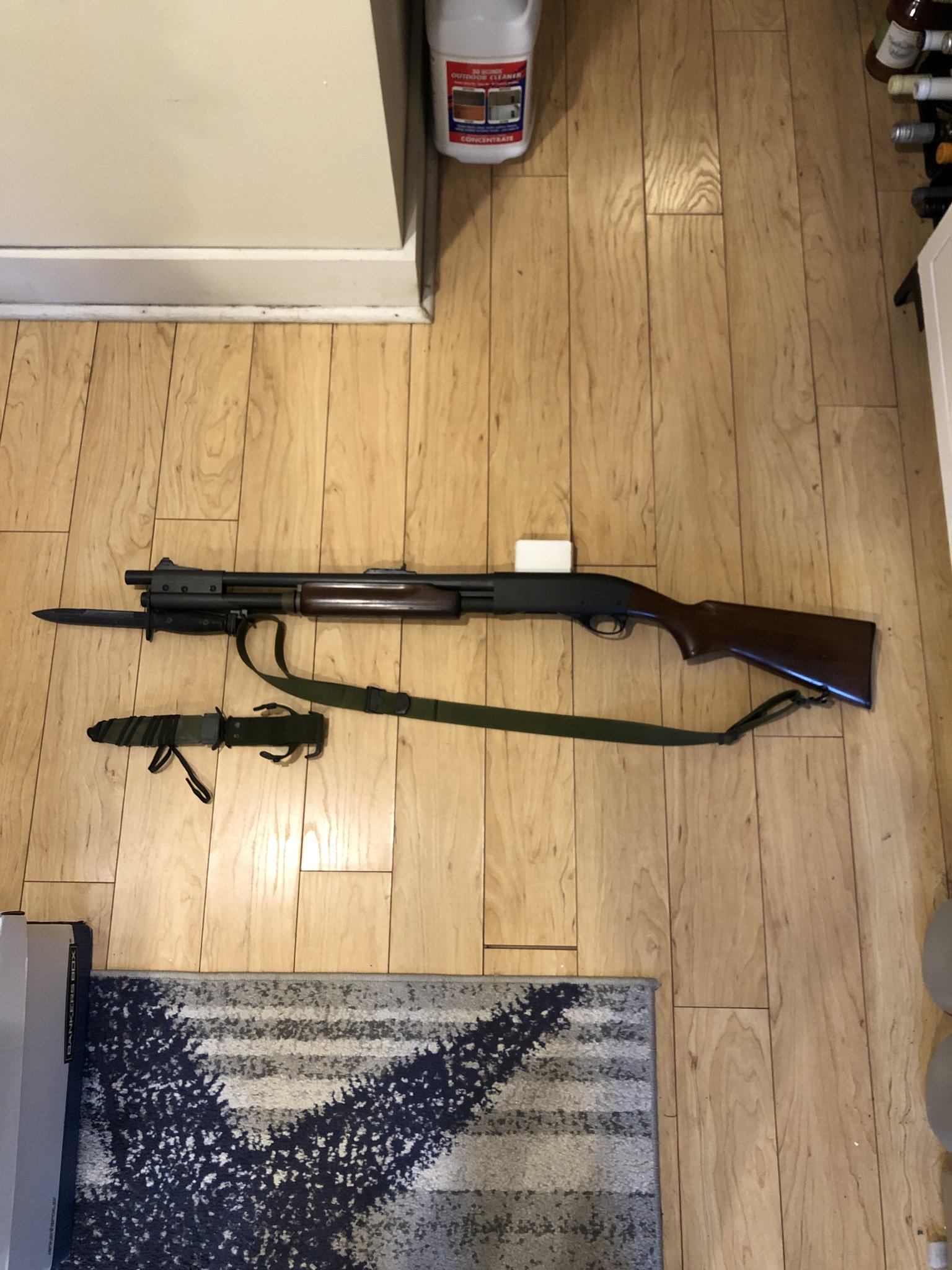 1DAAE84A-E376-4AF5-AE12-368A0219AF32.jpeg