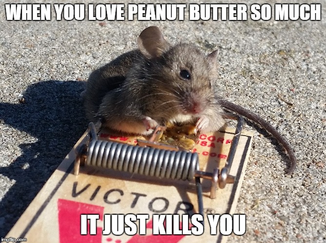 1e1g3j.jpg