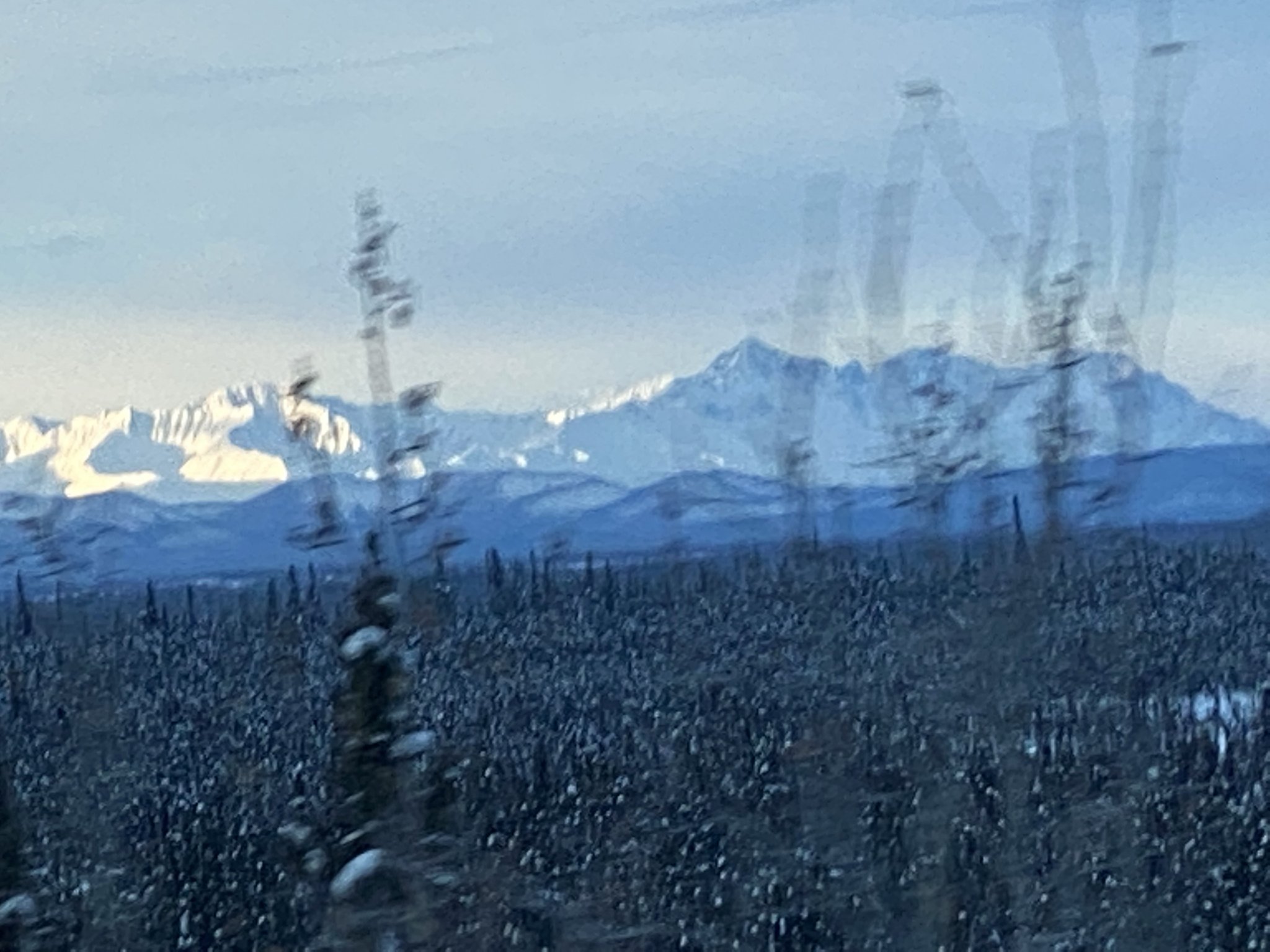 1E2E1E0D-7593-48AA-B993-25799FCE2AB1.jpeg