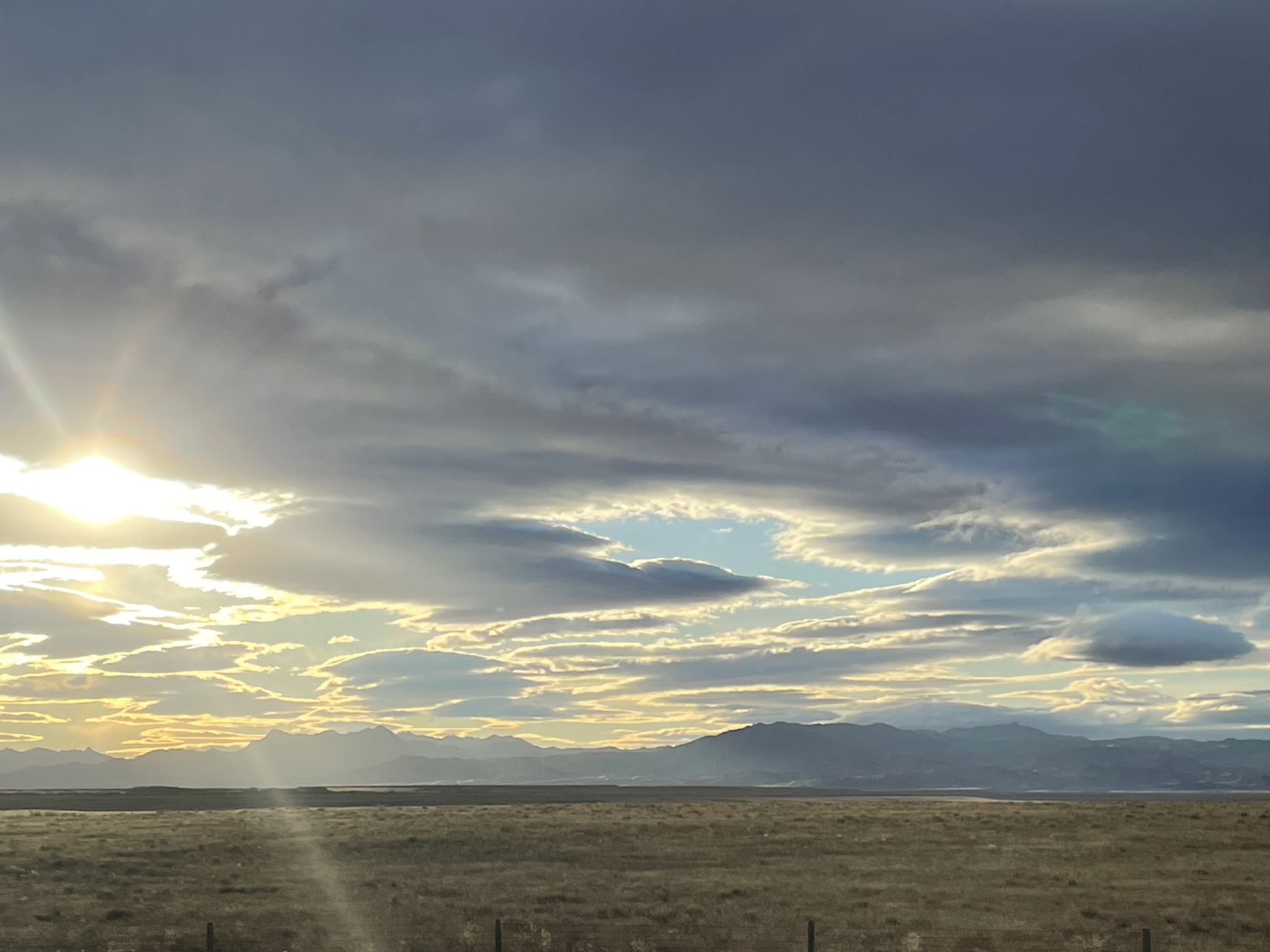 1E3CD379-91AB-4F03-8934-7E4CAA5E6A42.jpeg