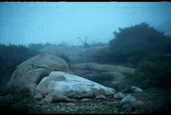 1E6776C5-C096-404C-A6B4-8CE0E39CA72C.gif