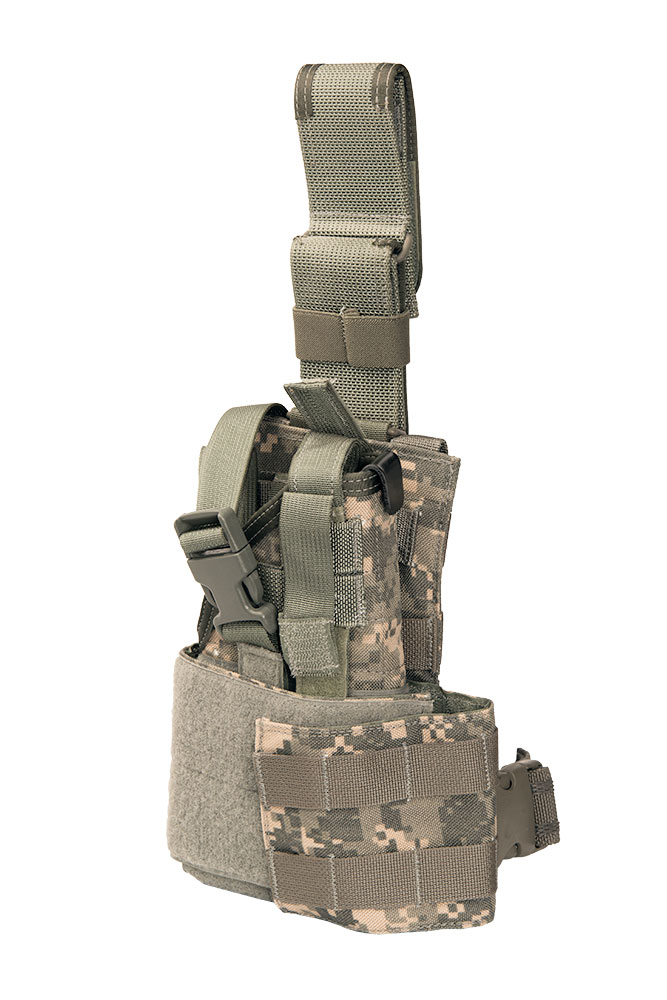 1eagle.jpg
