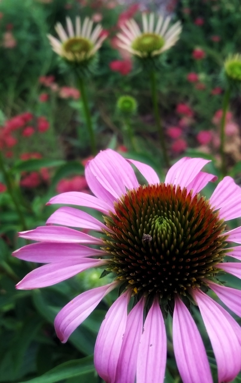 1EBE95F5-2068-44E7-B41B-614D82F13546.jpeg