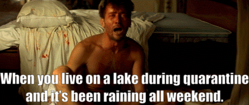1ED47437-2E40-4803-BD31-E6ABC20CC1C3.gif