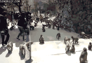 1EEEB56A-EC13-487D-ACFA-F23DFAFB05B2.gif