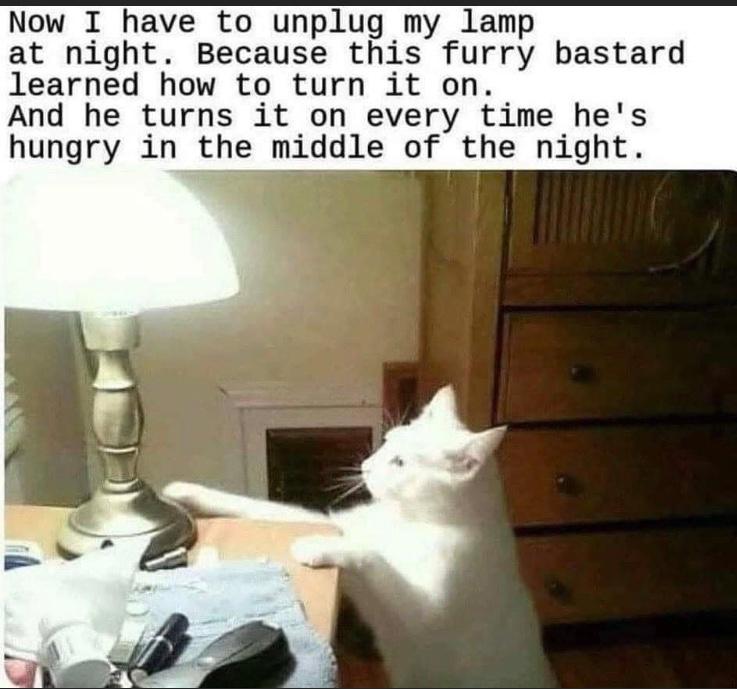 1F3D346F-637D-4DF8-ABF5-7780EBC52E3D.jpeg