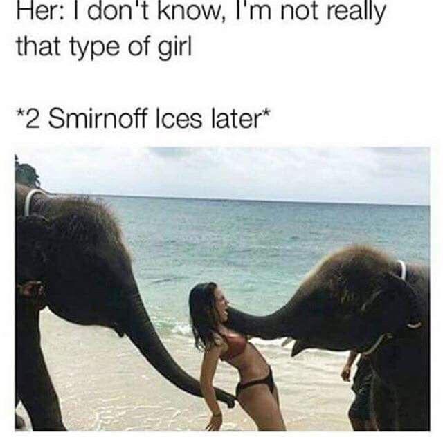 1f9sc6v1kulc1.jpeg
