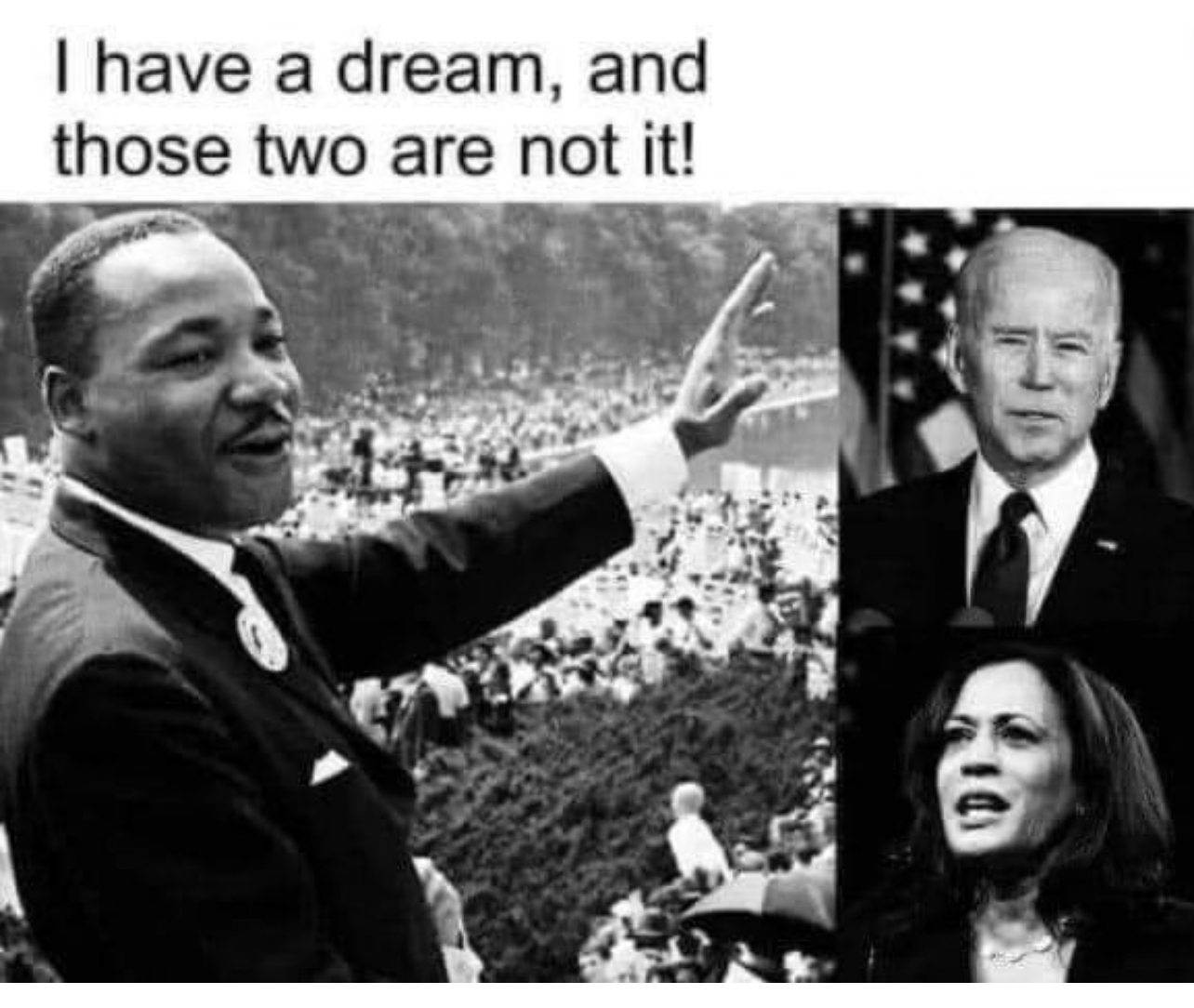 1FA9667F-15B2-41C9-8F16-1F9E9BE063E8.jpeg