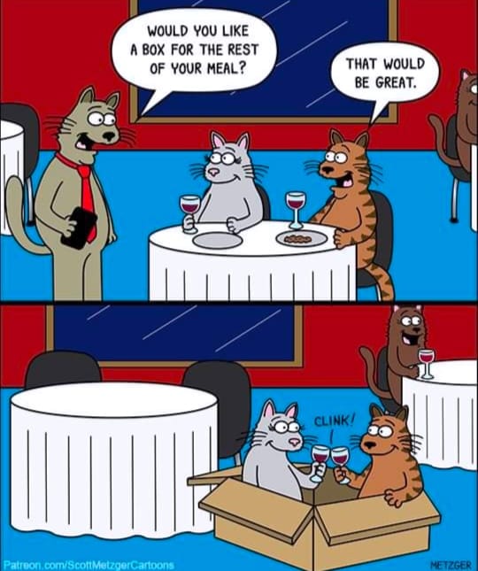 1YGY5g3.jpg