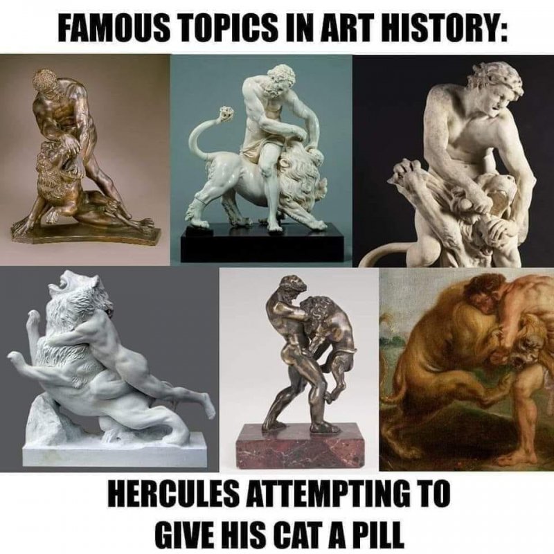 1ZViNOj.jpg