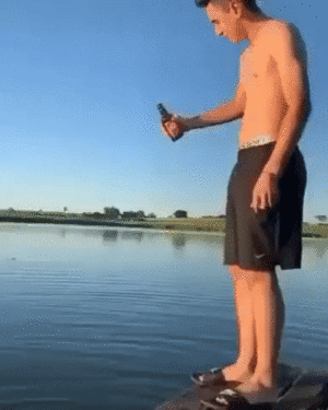 2.gif