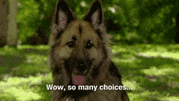 200w.gif