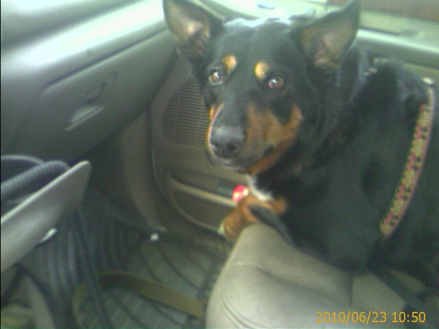 201006231050_00432.jpg