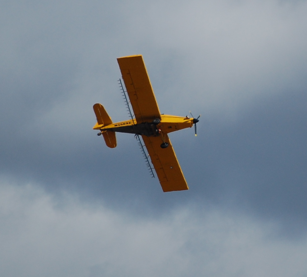 2011-27.JPG