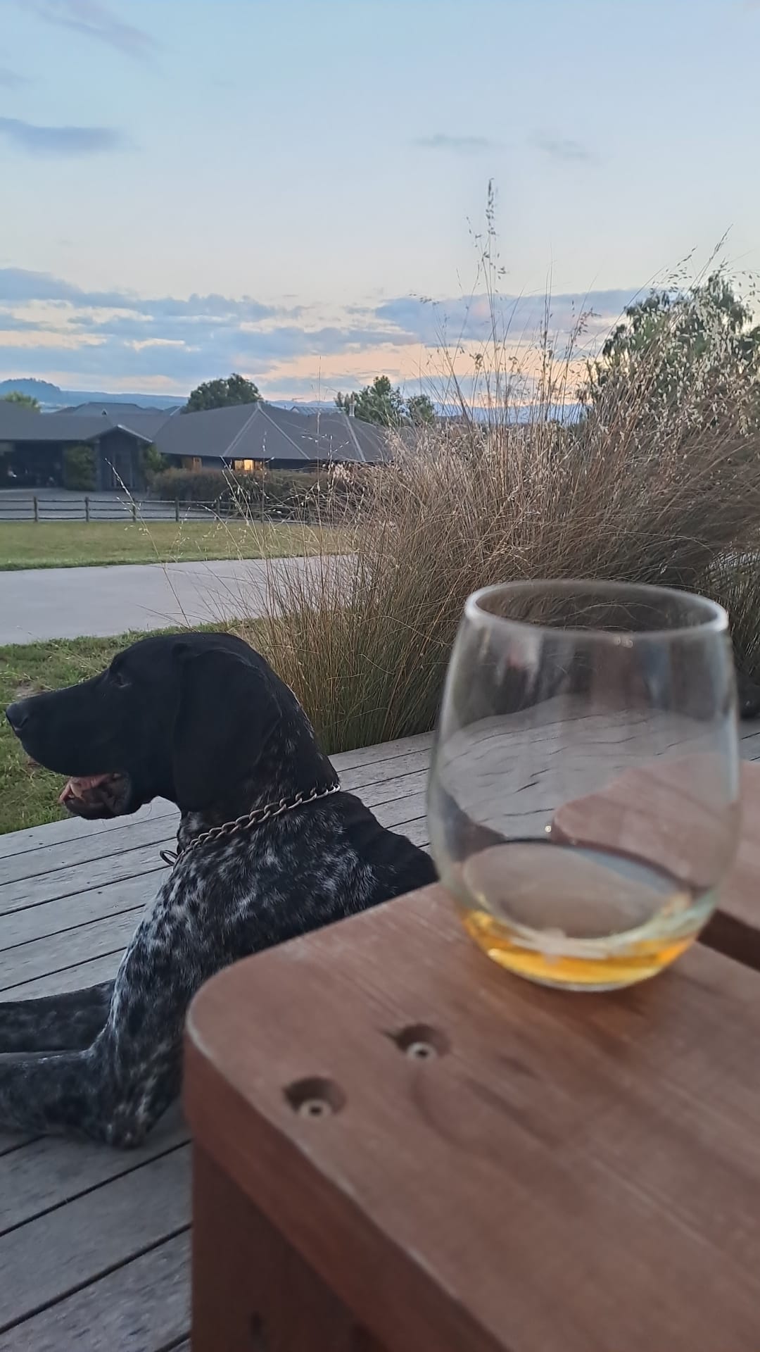 2011898439-IMG-20240107-WA0011.jpg