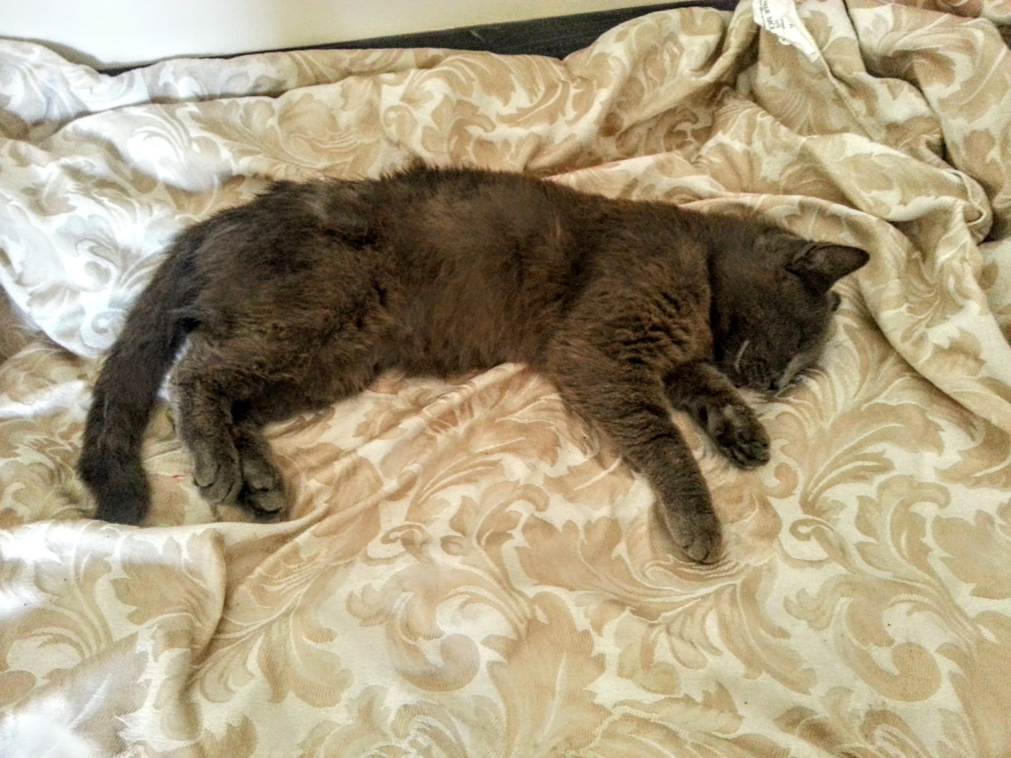 20130612_094655.jpg