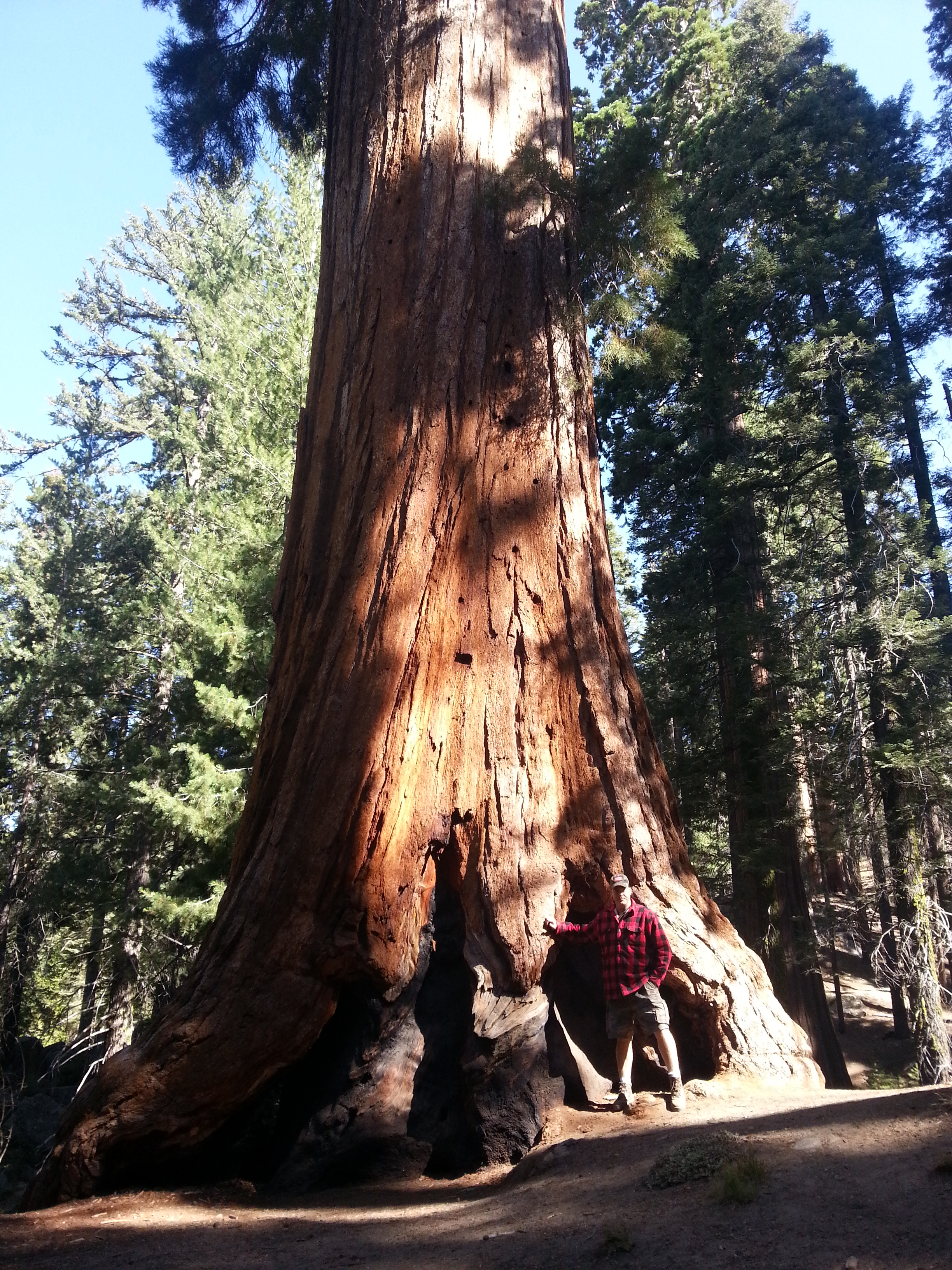 20130808_094639.jpg