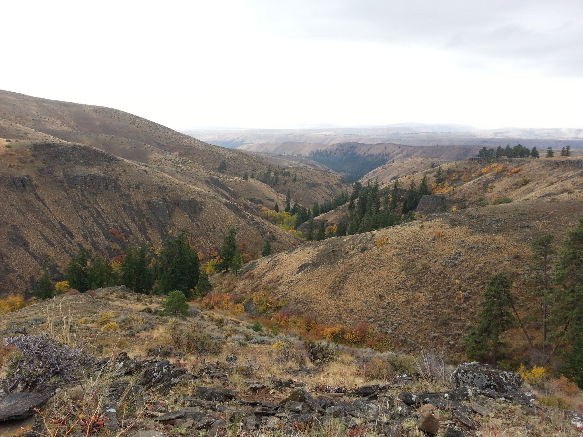 20131012_101802.jpg