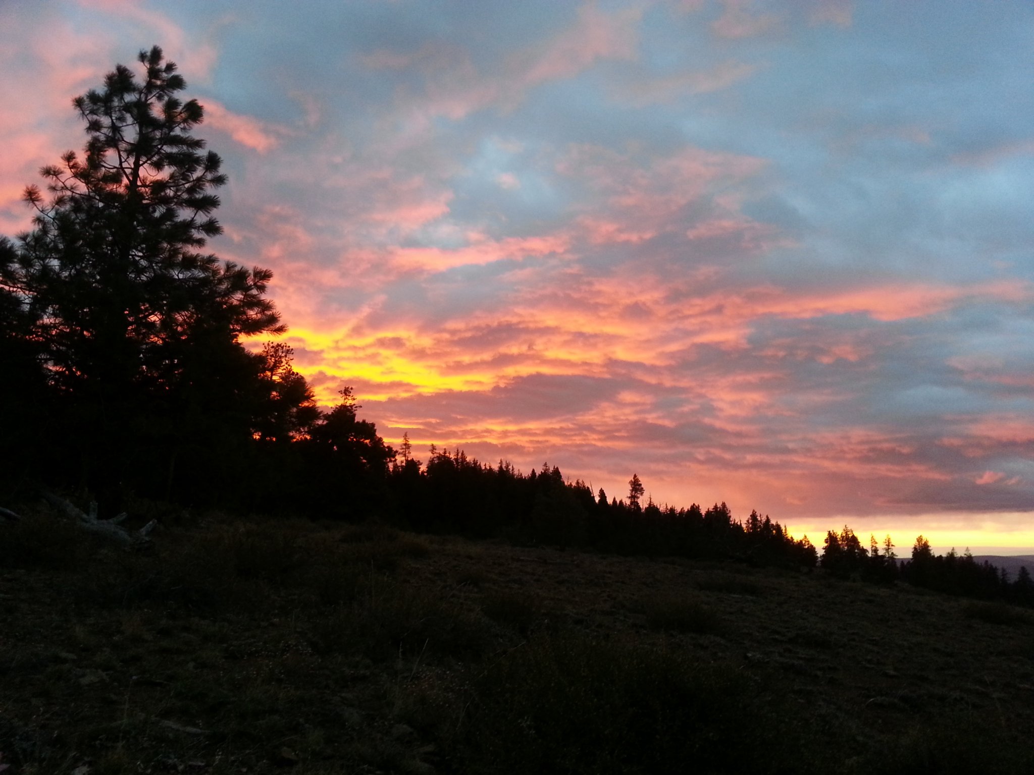20131027_073642.jpg