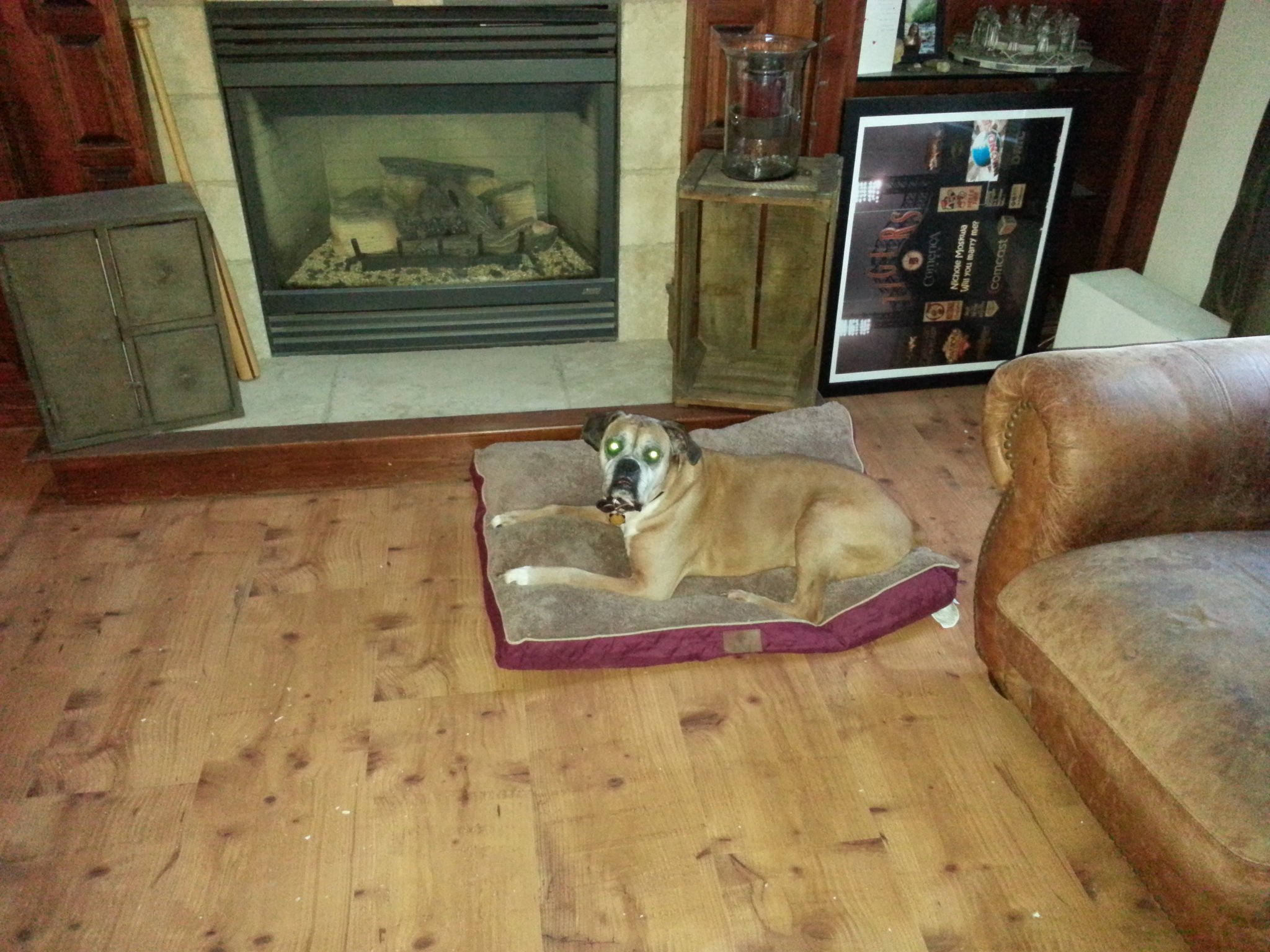 20131129_161330.jpg