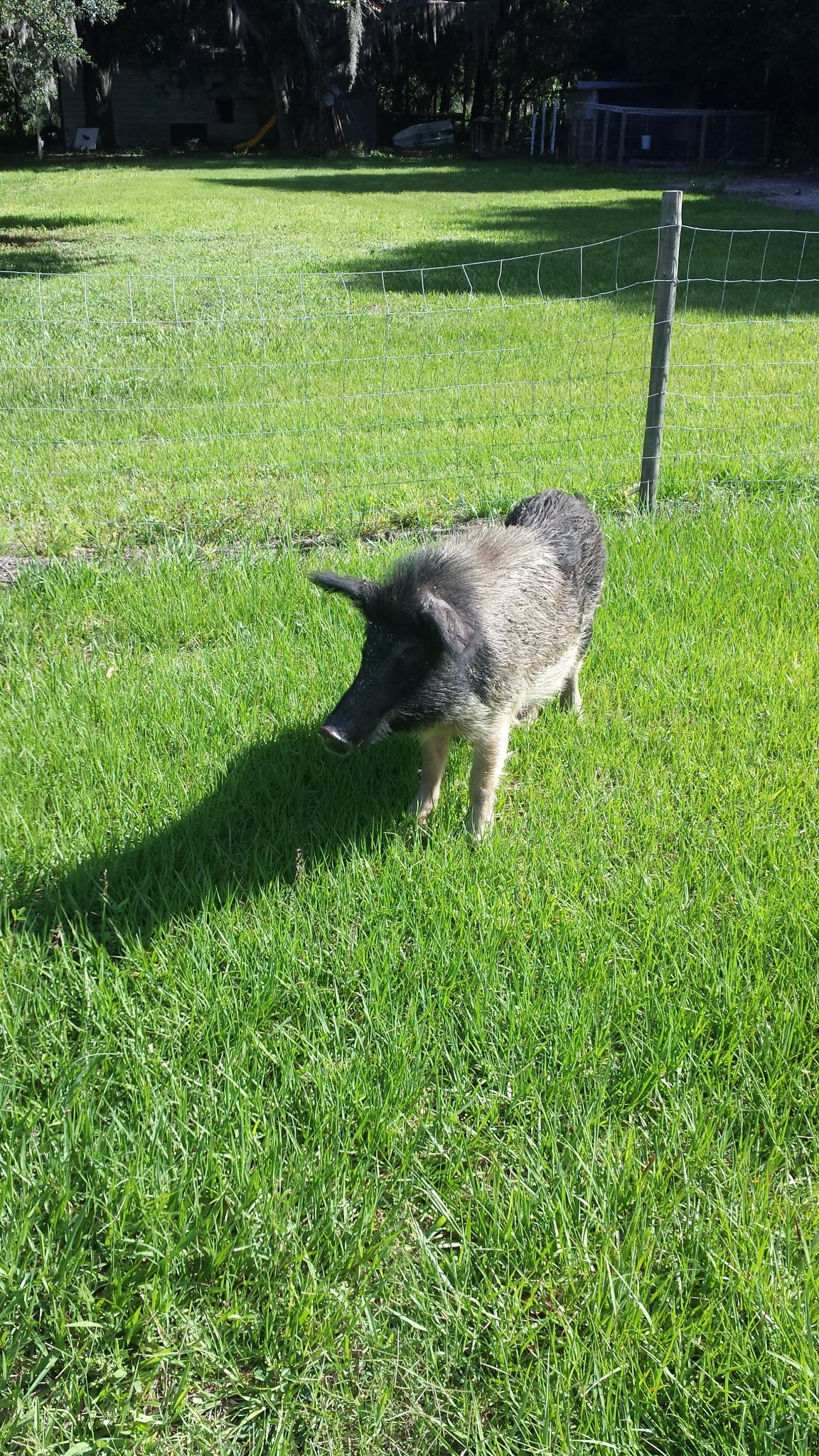 20140516_094706.jpg