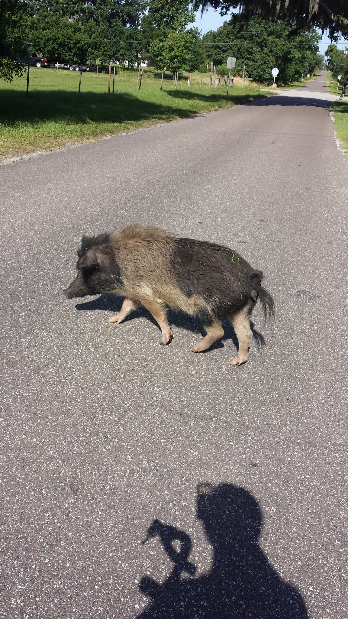 20140516_094722.jpg