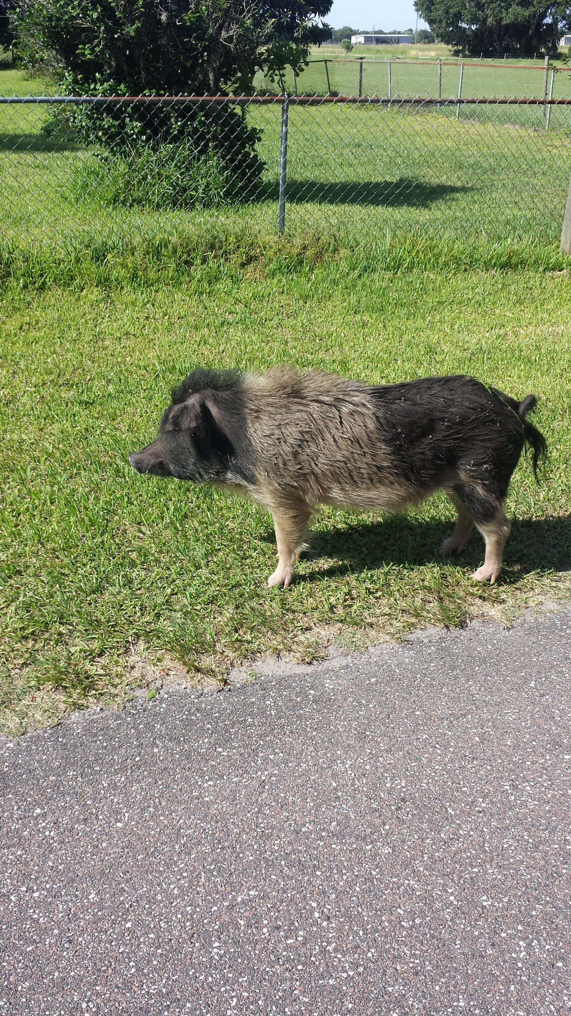 20140516_094728.jpg