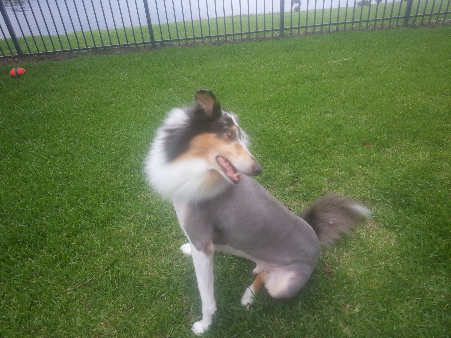 20140608_154126.jpg