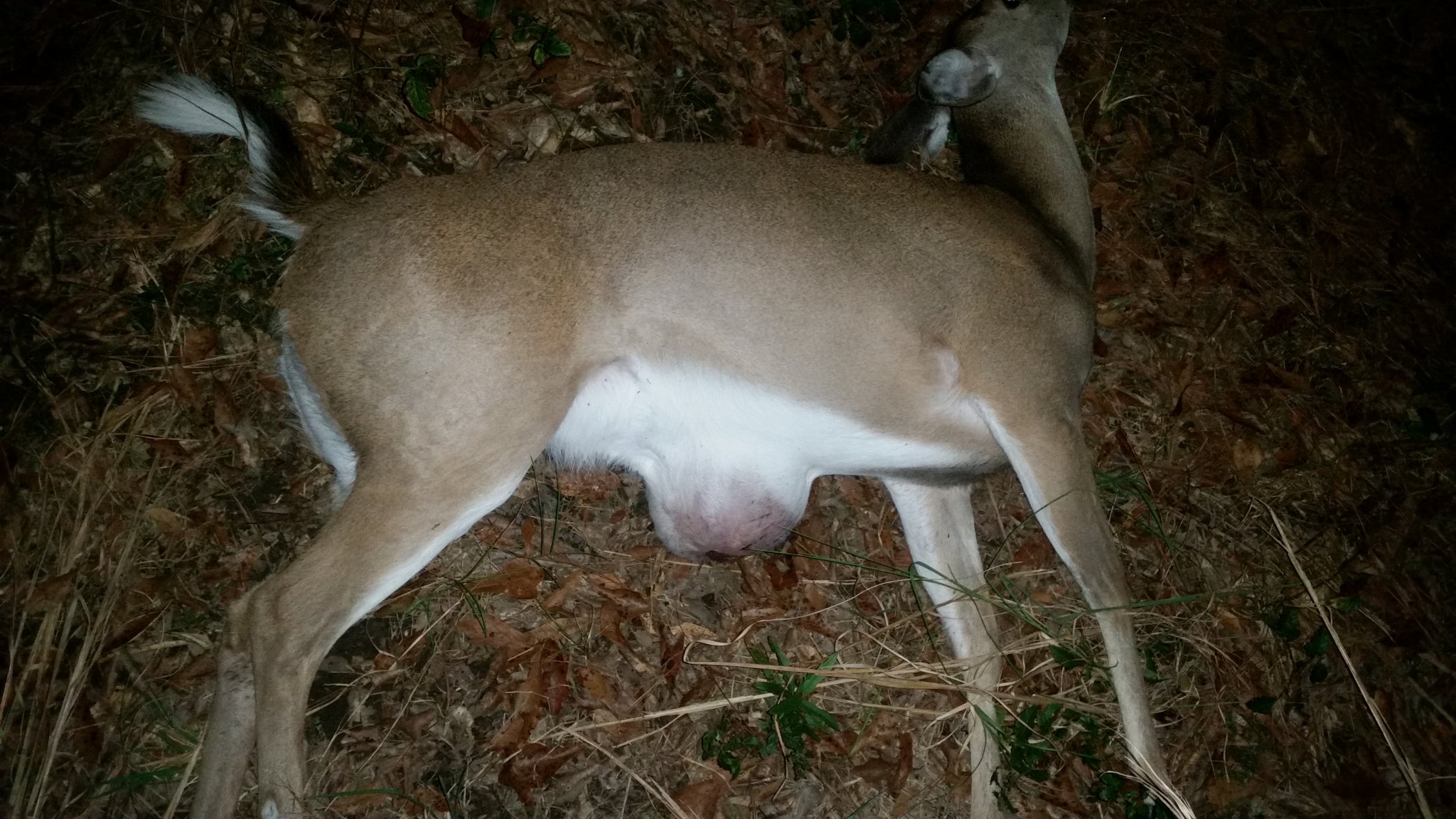 20141015_211055.jpg