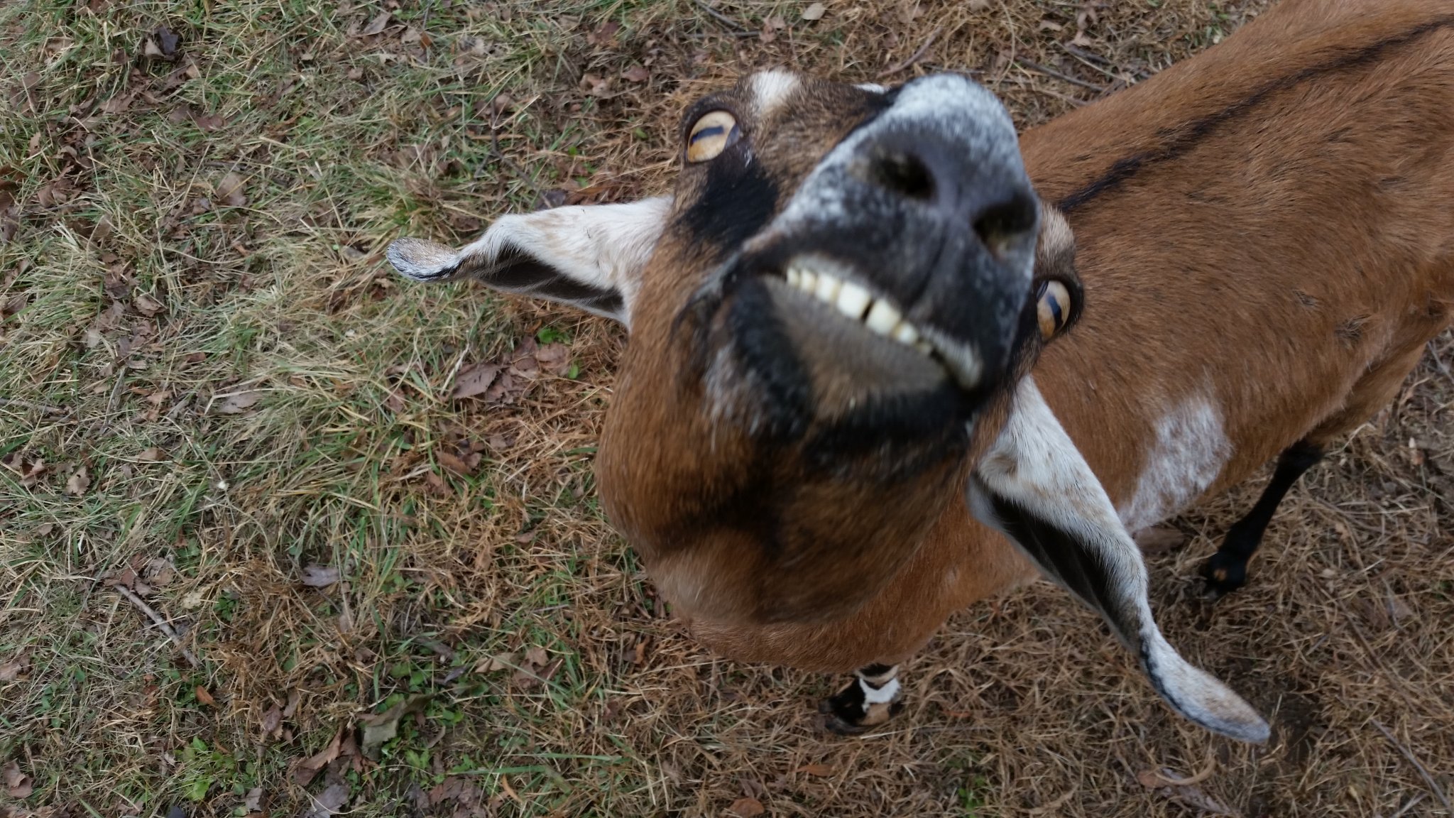 20141127_090954.jpg