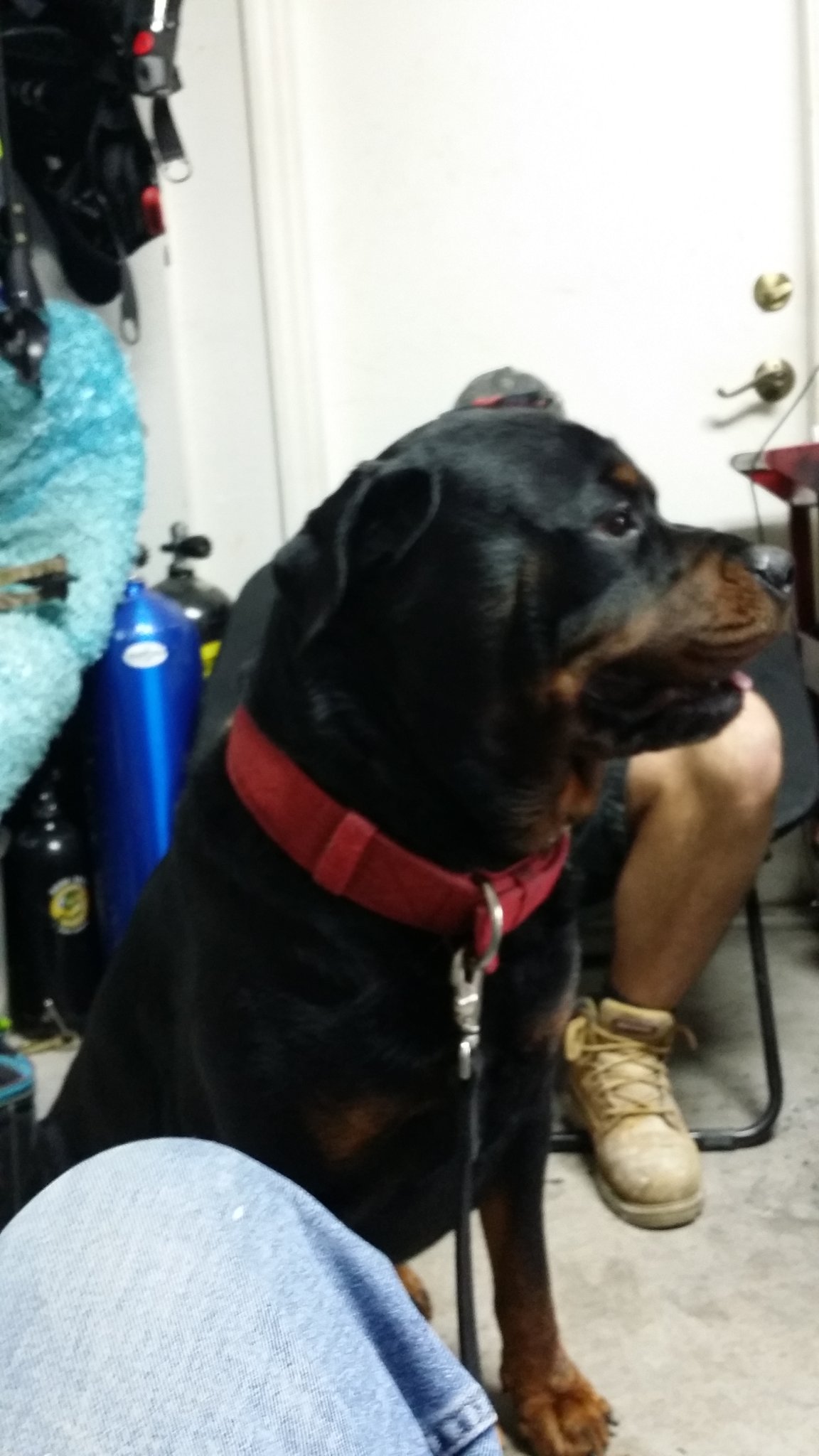 20150205_172910.jpg