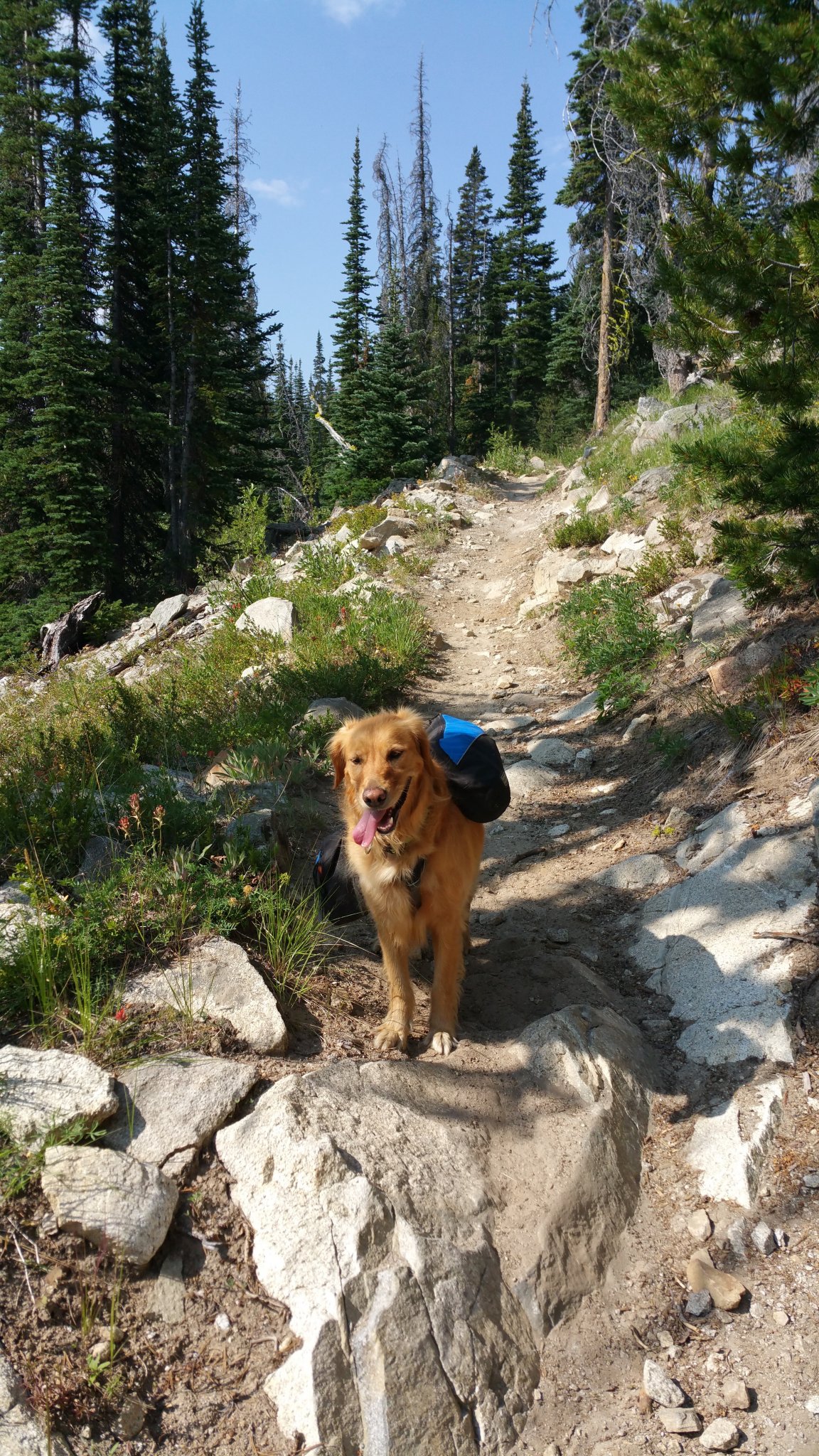 20150708_094835.jpg