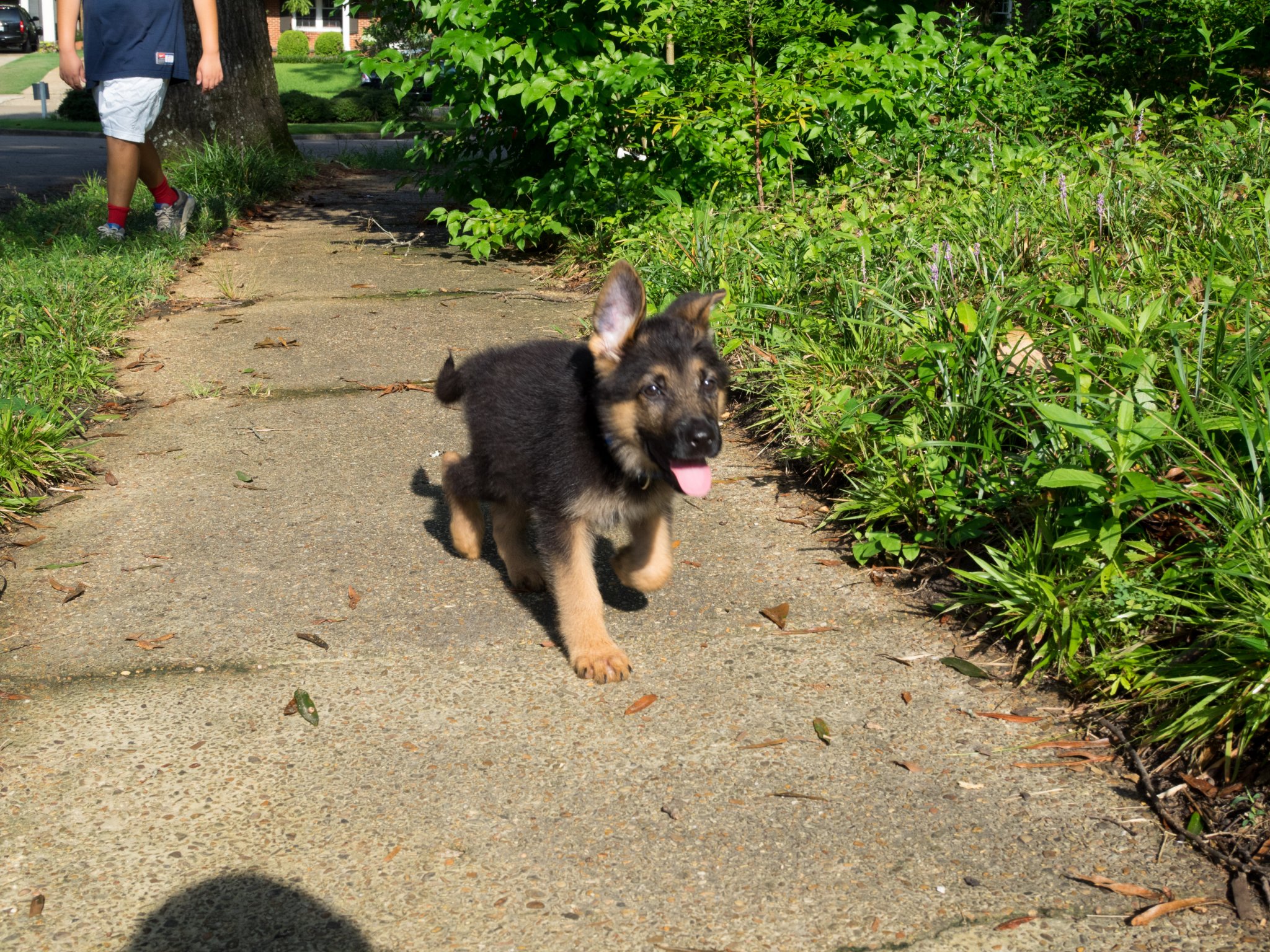 20150726-P7260112.jpg
