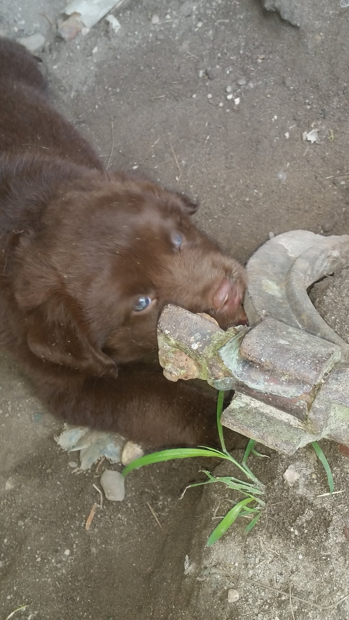 20150726_122402.jpg