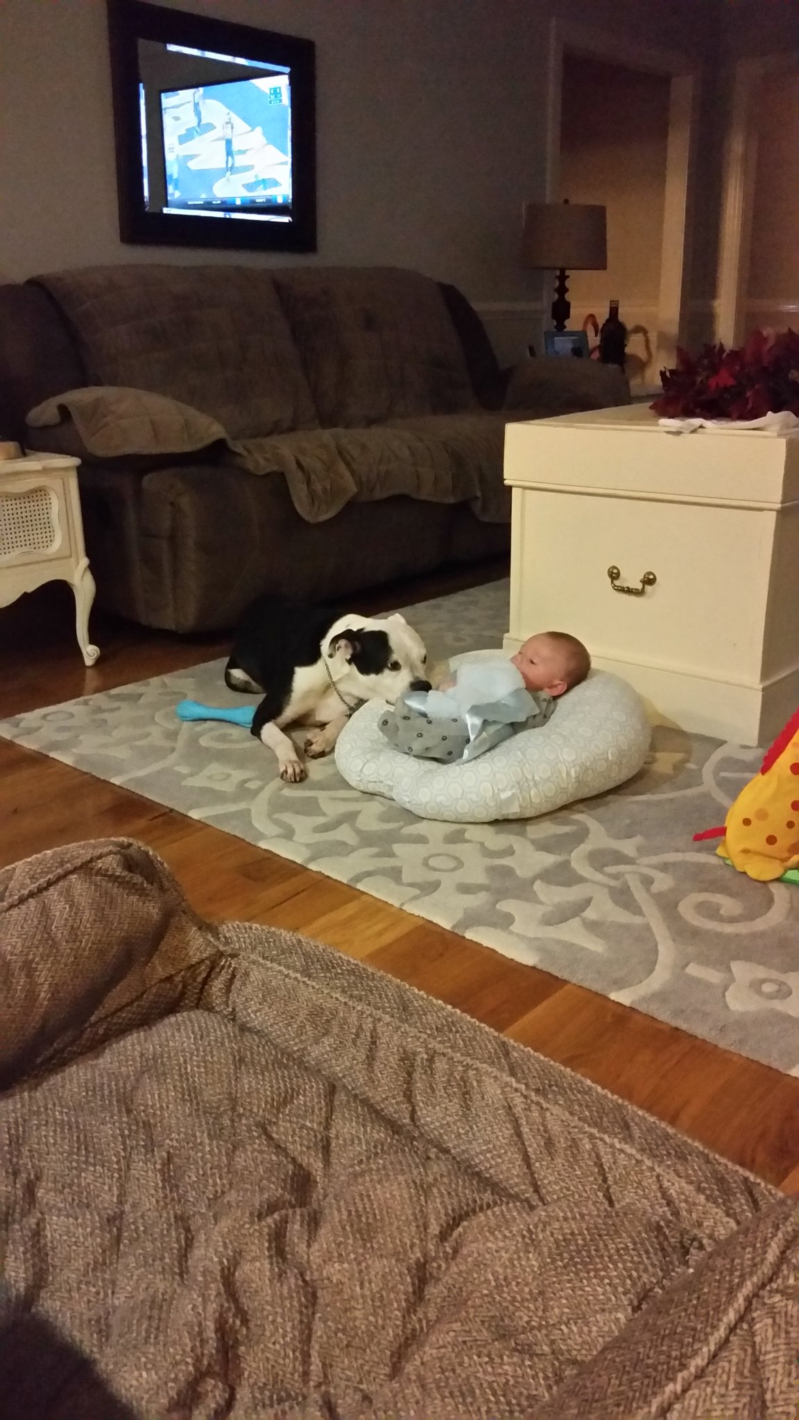 20151101_175747.jpg