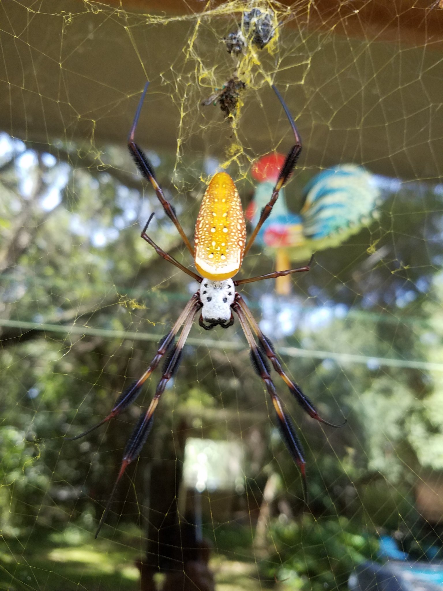 20160730_160825.jpg