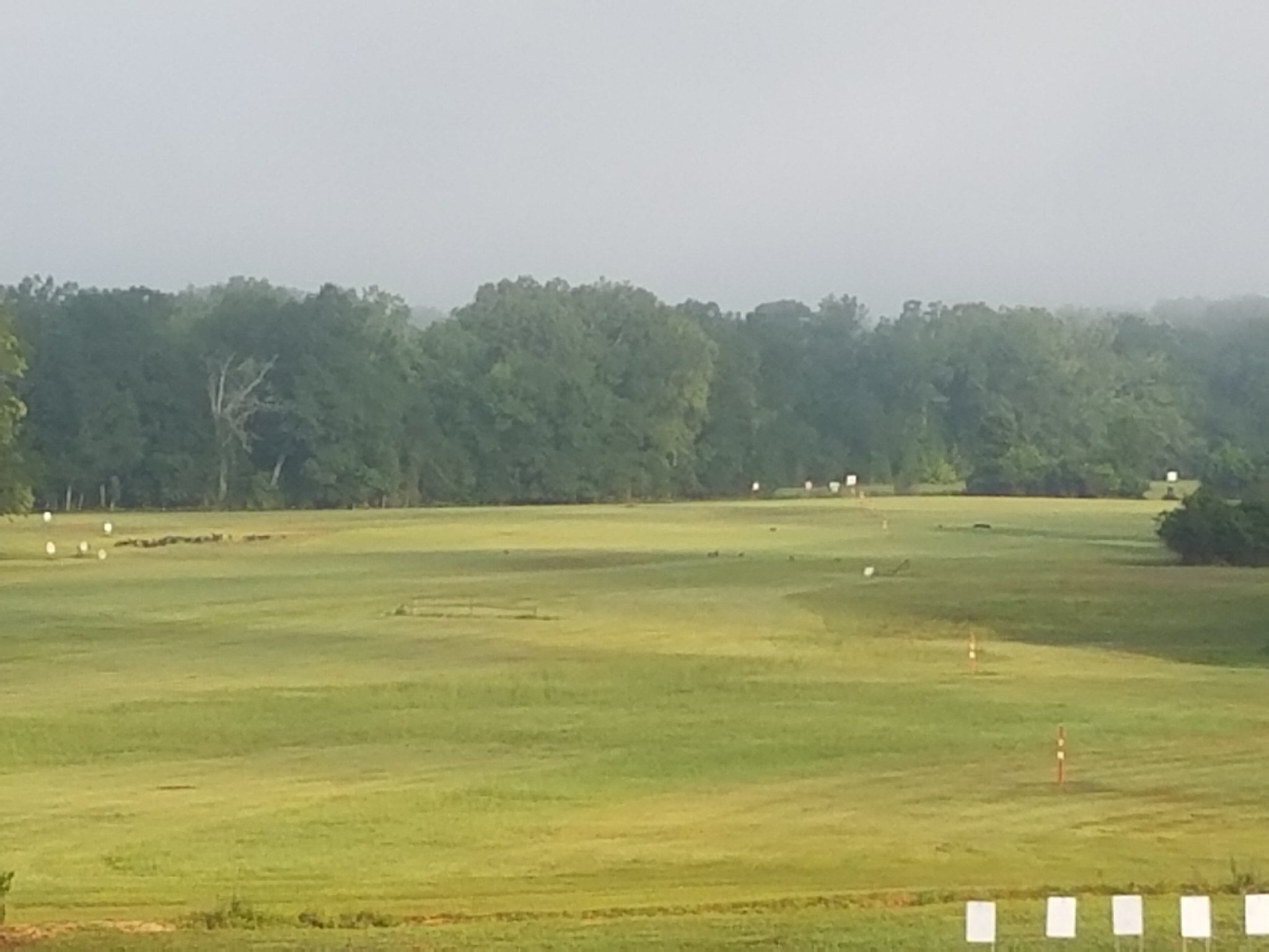 20160806_073058.jpg