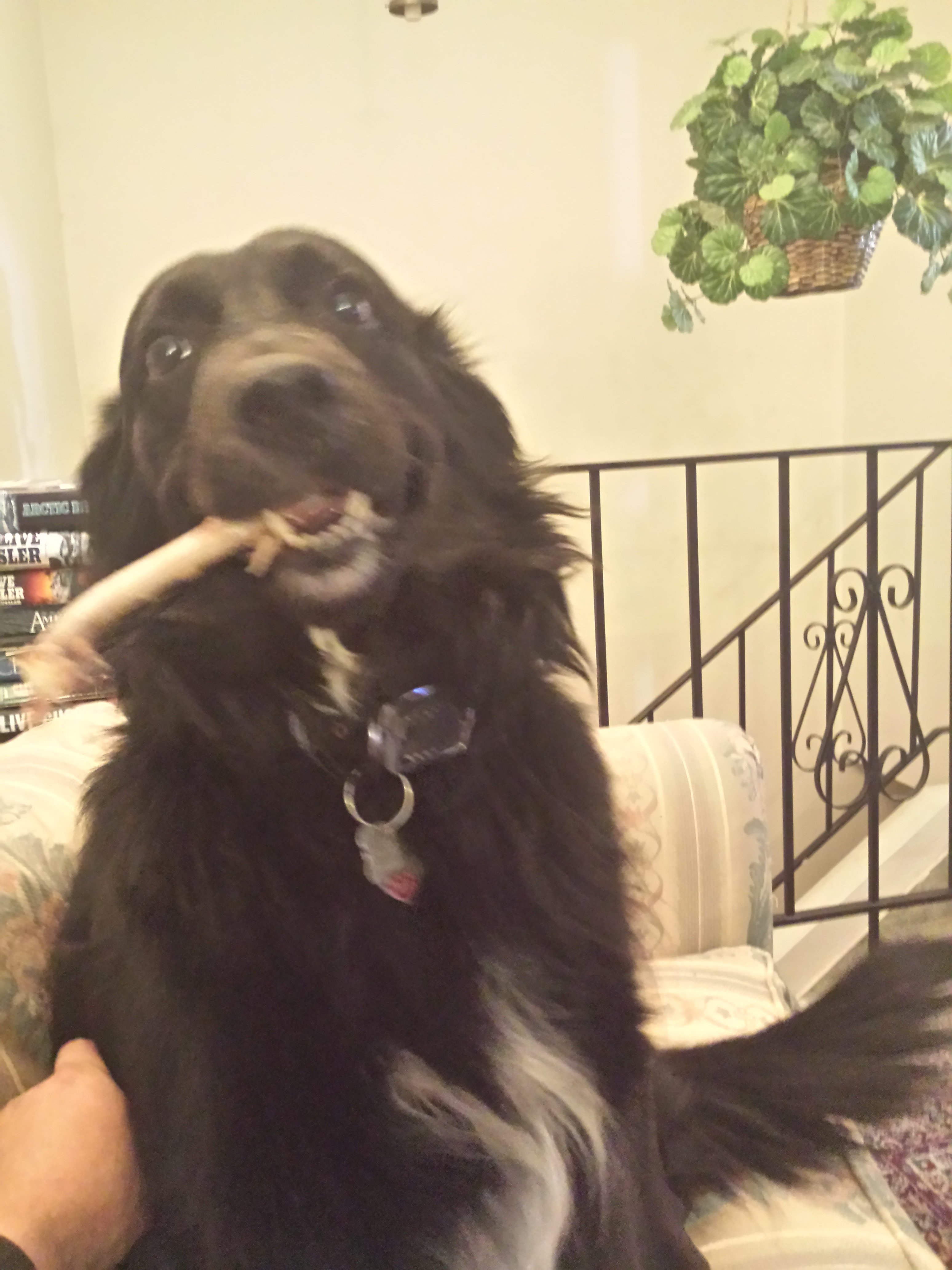 20161120_180904.jpg