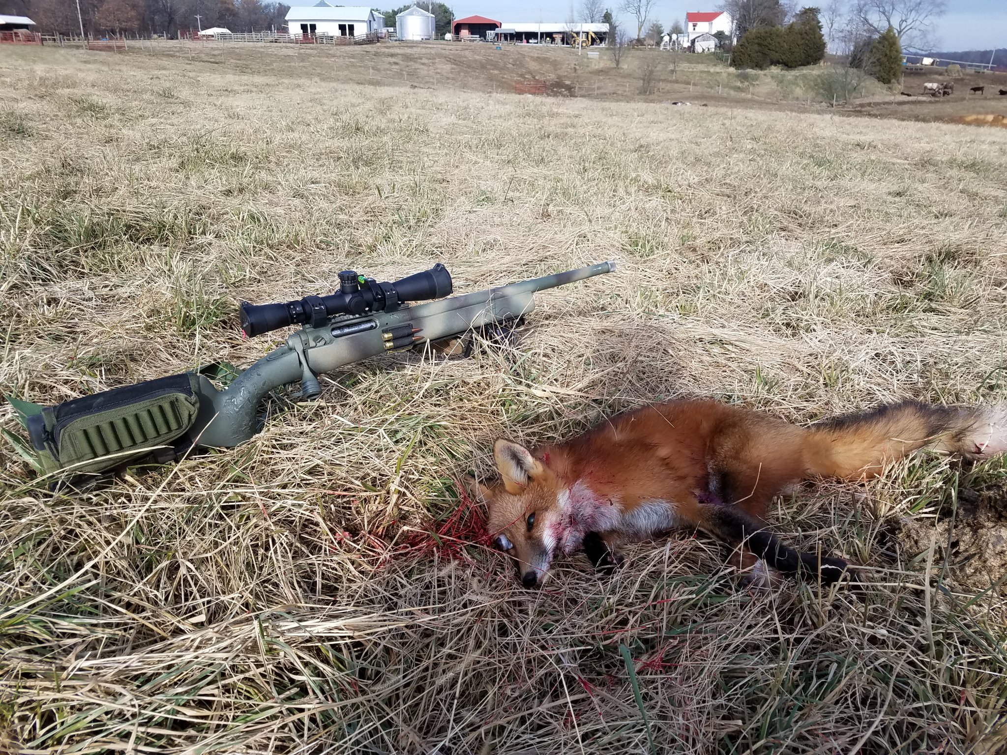 20161221_122357.jpg