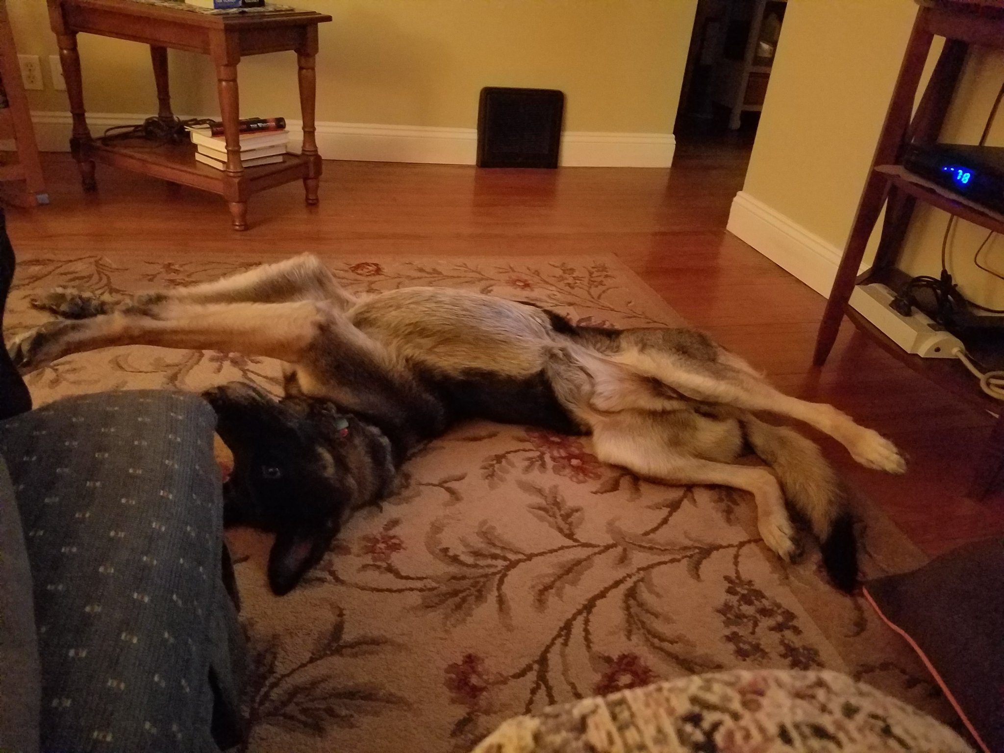 20170104_191339.jpg