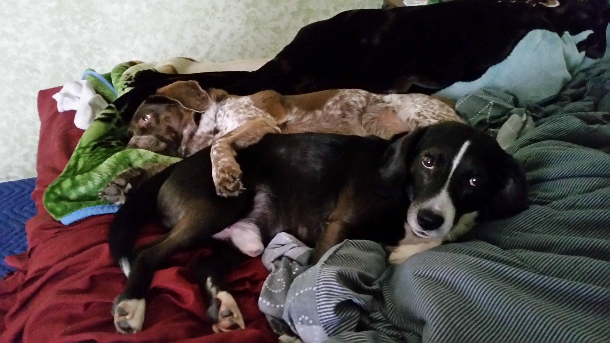 20170401_101820.jpg