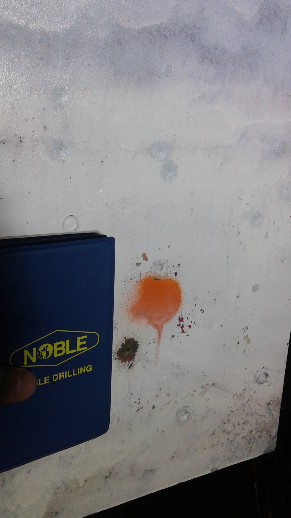 20170412_201146.jpg