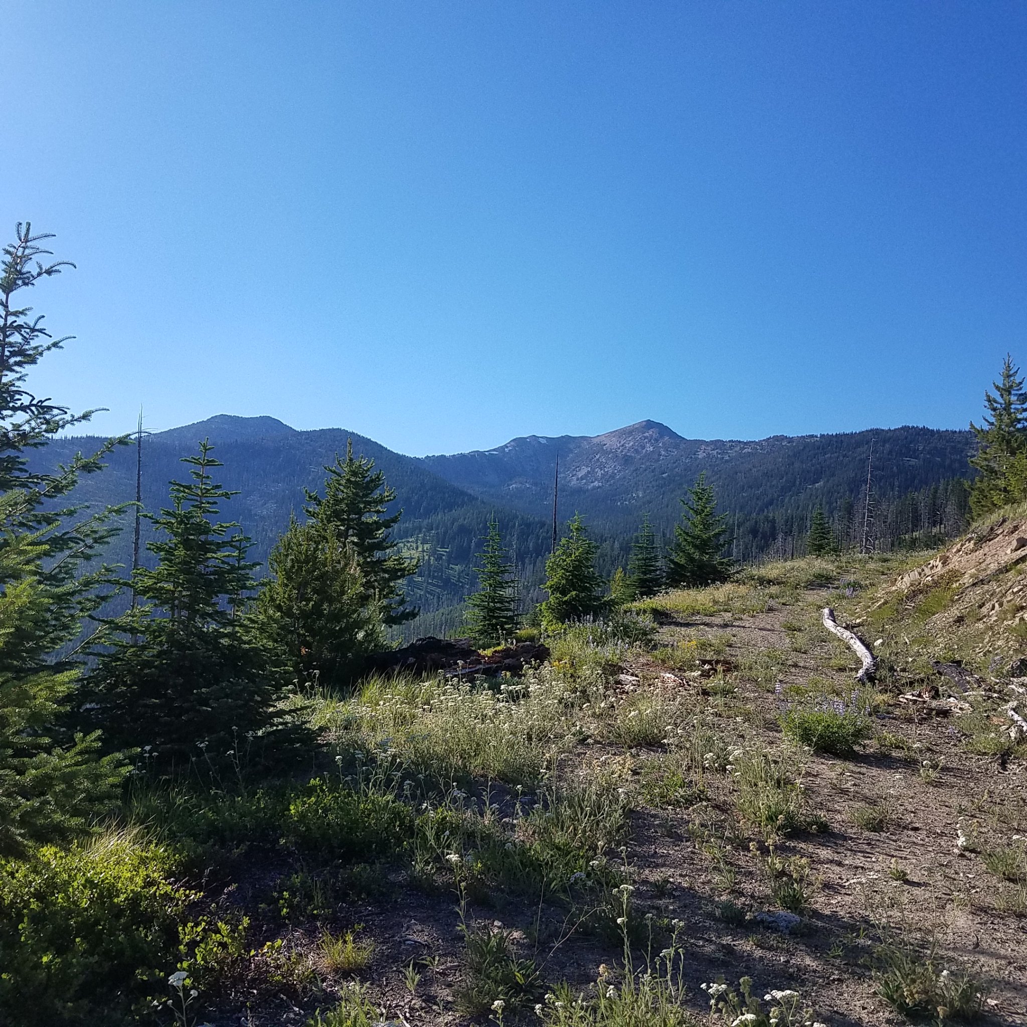 20170708_181553.jpg