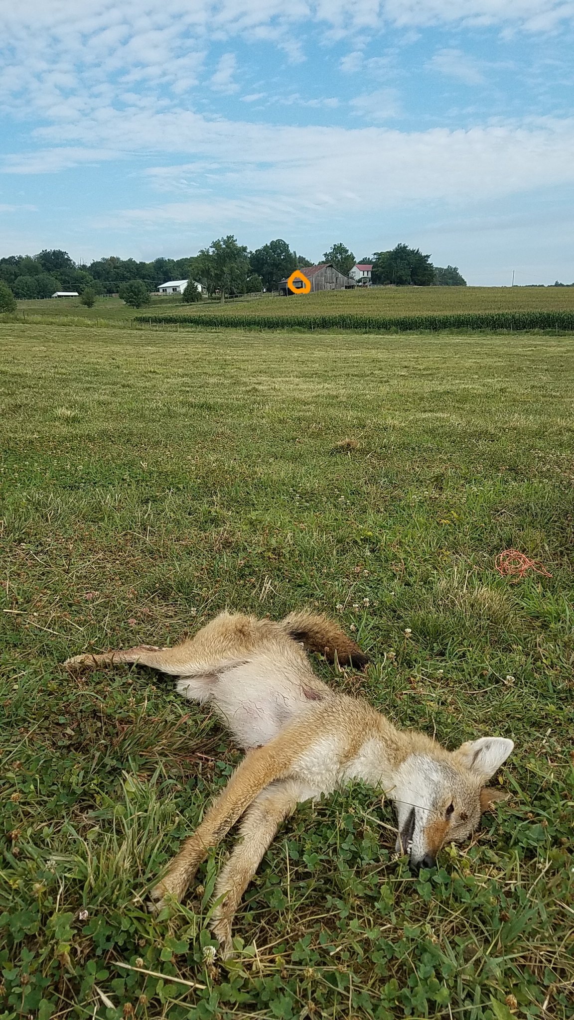 20170801_090252.jpg