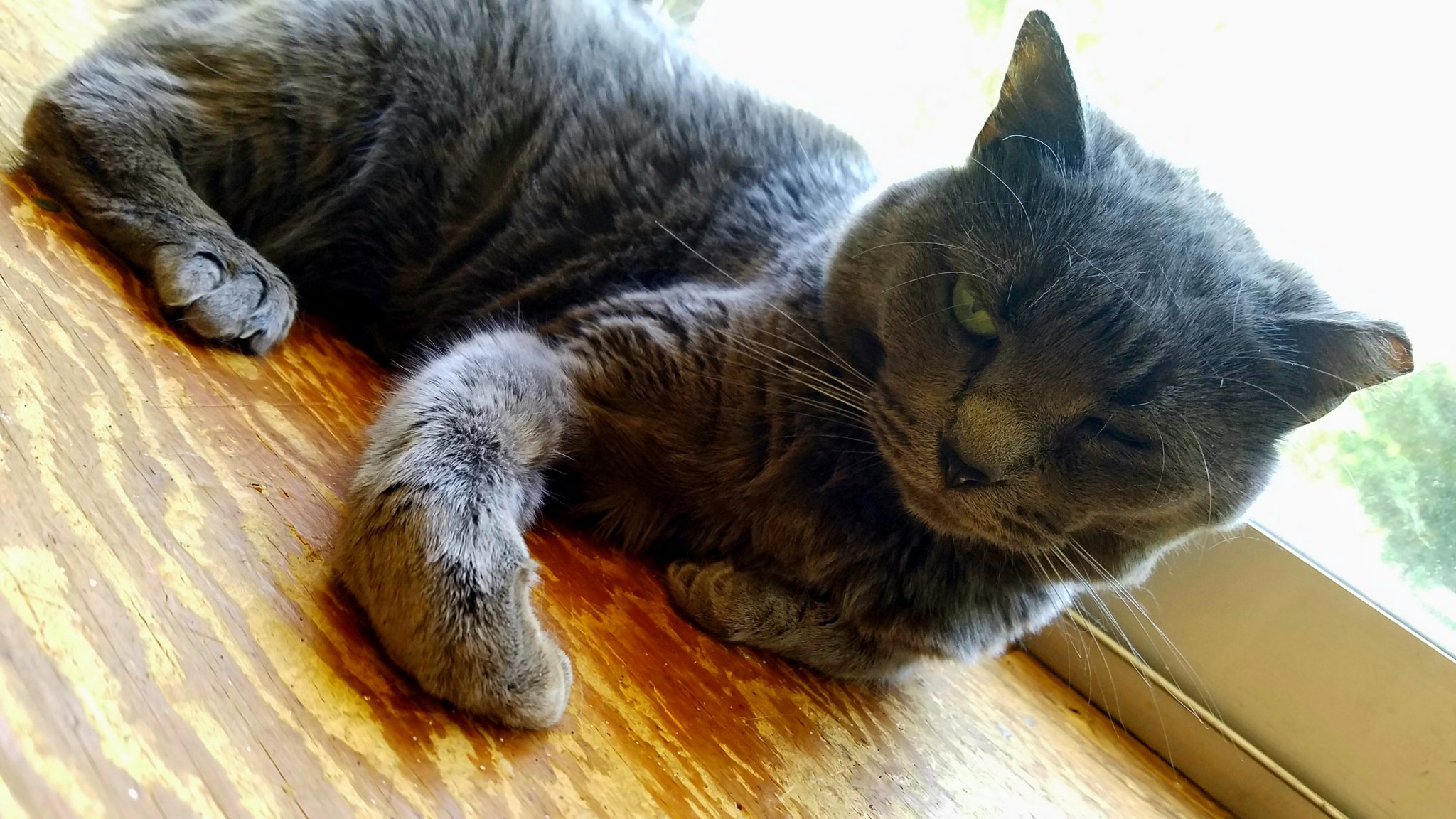 20170804_160238.jpg